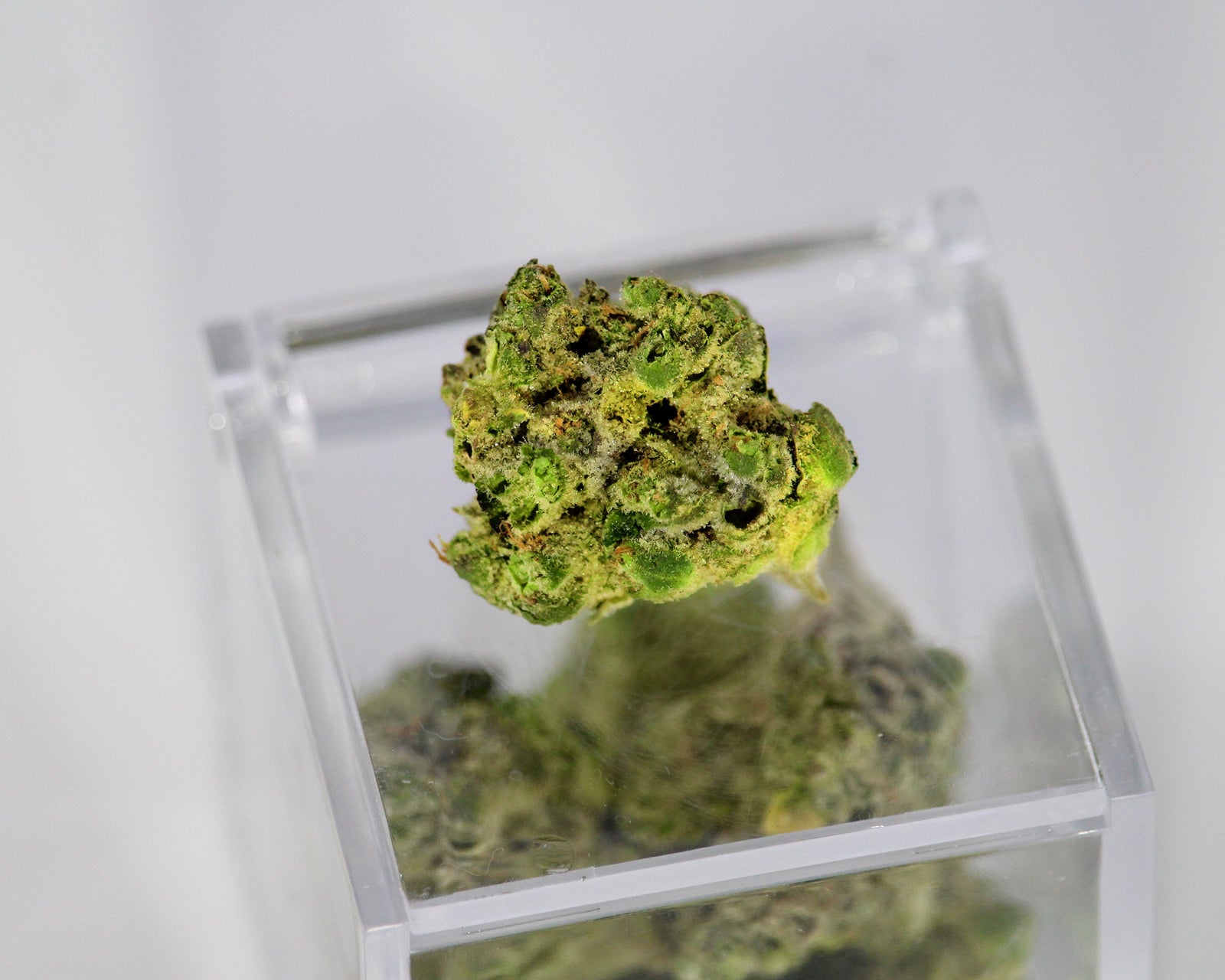 What are Terpenes (And Why is Vaping The Best Way to Experience Them?)